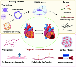 Gene therapy advancements