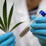 Medical marijuana therapies